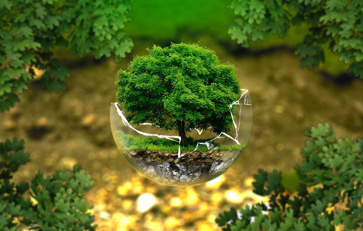 Course Image Ecologia