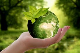 Course Image Biogeografia